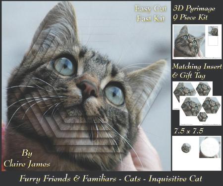 Furry Friends & Familiars - Cats - Inquisitive +insert+tag