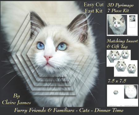Furry Friends & Familiars - Cats - Dinner Time +insert & Tag