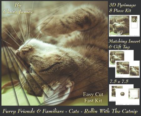 Furry Friends & Familiars - Cats - Rollin with the Catnip +