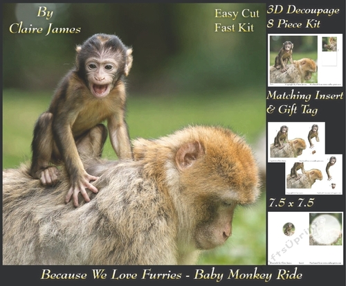 Because We Love Furries - Baby Monkey Ride + Insert & Tag