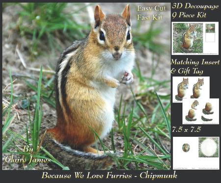 Because We Love Furries - Chipmunk + Insert & Tag