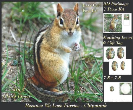 Because We Love Furries - Chipmunk Pyramid + Insert & Tag