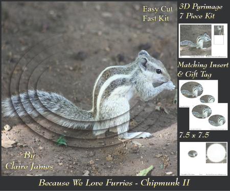 Because We Love Furries - Chipmunk 2 Pyramid + Insert & Tag