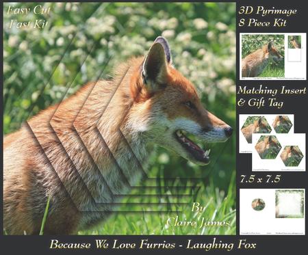Because We Love Furries - Laughing Fox Pyramid +insert & Tag