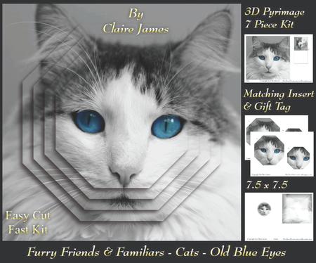 Furry Friends & Familiars - Cats - Old Blue Eyes +insert+tag