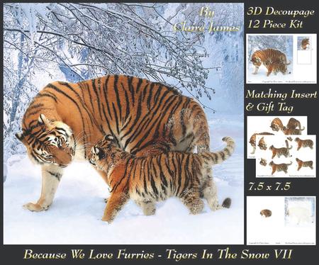 Because We Love Furries - Gorgeous Tigers in the Snow 7+tag+
