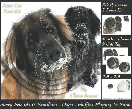 Furry Friends & Familiars - Dogs-fluffies in the Snow +tag+