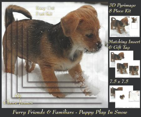 Furry Friends & Familiars - Puppy in the Snow 2 Insert & Tag