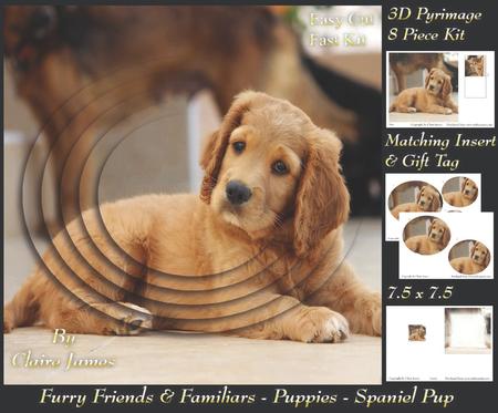 Furry Friends & Familiars - Puppies - Cocker Spaniel + Tag +