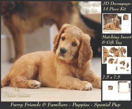 Furry Friends & Familiars - Puppies - Cocker Spaniel + Tag +