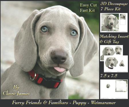 Furry Friends & Familiars - Puppies - Weimaraner +insert+tag