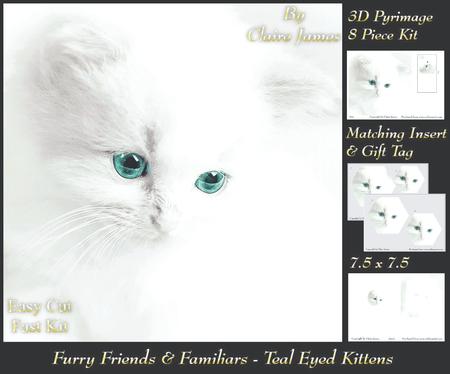 Furry Friends & Familiars - Teal Eyed Kitten + Insert & Tag