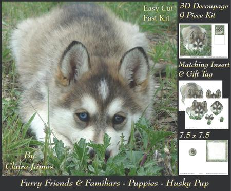 Furry Friends & Familiars - Puppies Husky Pup + Insert & Tag