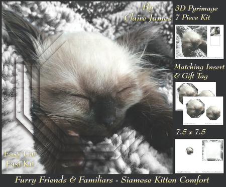 Furry Friends & Familiars - Simaese Kitten Comfort + Tag +