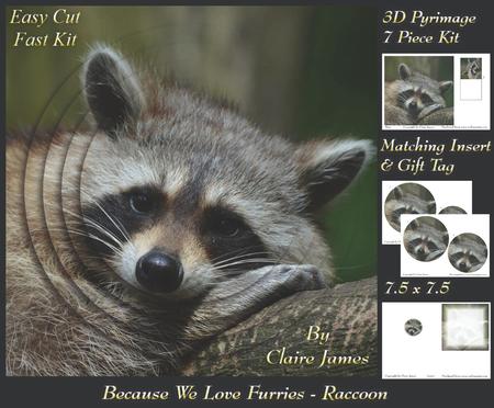 Because We Love Furries - Sweet Raccoon + Insert & Tag