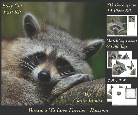 Because We Love Furries - Sweet Raccoon + Insert & Tag