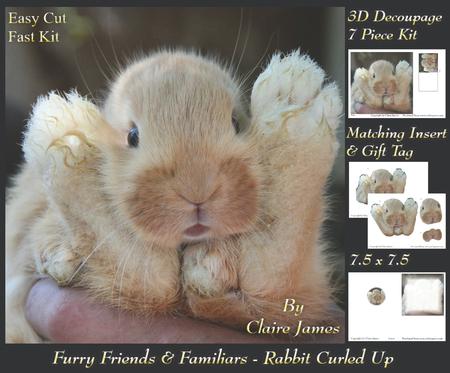 Furry Friends & Familiars - Rabbit Curled Up + Insert & Tag