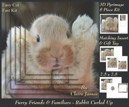 Furry Friends & Familiars - Rabbit Curled Up + Insert & Tag