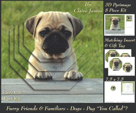 Furry Friends & Familiars - Dogs - Pug 
