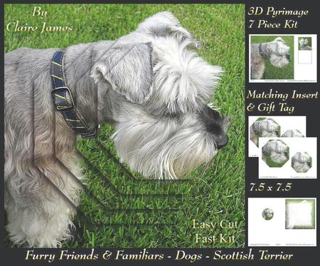 Furry Friends & Familiars - Dogs - Scottish Terrier + Tag +