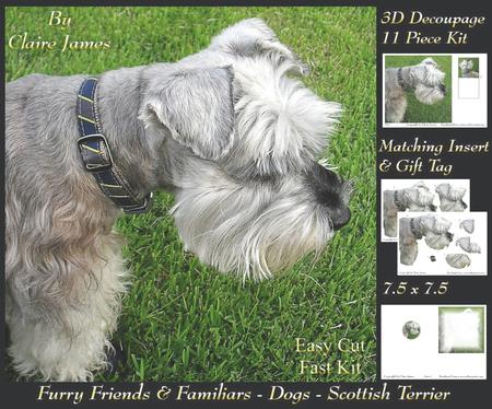 Furry Friends & Familiars - Dogs - Scottish Terrier + Tag +