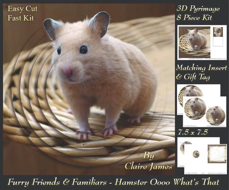 Furry Friends & Familiars - Hamster 