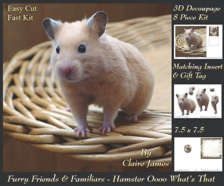Furry Friends & Familiars - Hamster "oo Whats That" + Tag +