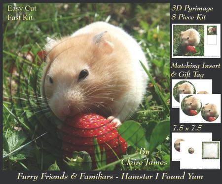 Furry Friends & Familiars - Hamster I Found Yum + Tag +