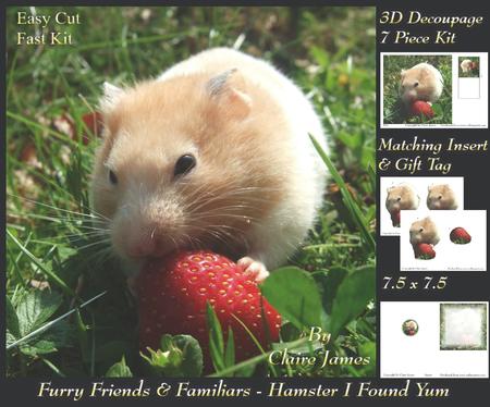 Furry Friends & Familiars - Hamster I Found Yum + Tag +