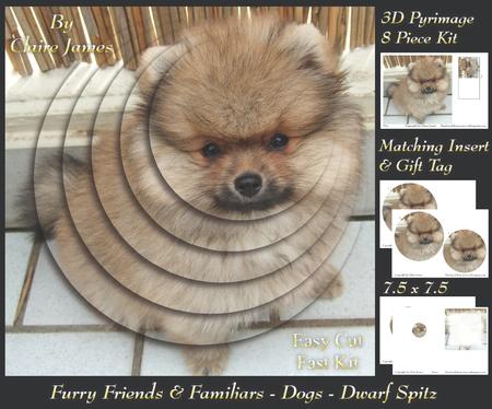 Furry Friends & Familiars - Dog - Dwarf Spitz + Tag +