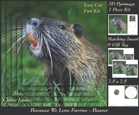 Because We Love Furries - Beaver Pyrimage + Insert & Tag