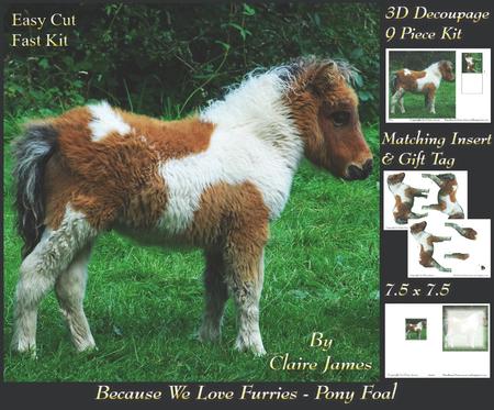 Because We Love Furries - Foal Pony + Insert & Tag