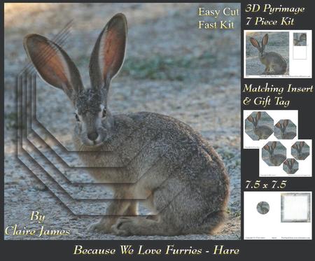 Because We Love Furries - Hare + Insert & Tag