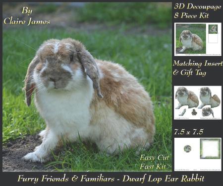 Furry Friends & Familiars - Dwarf Lop Ear Rabbit +tag+