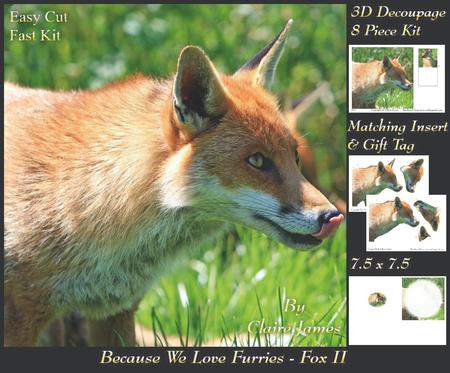 Because We Love Furries - Beautiful Fox 2 + Insert & Tag