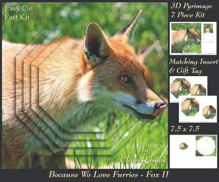 Because We Love Furries - Beautiful Fox 2 + Insert & Tag