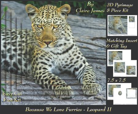 Because We Love Furries - Leopard 2 + Insert & Tag