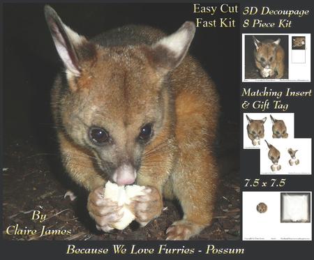 Because We Love Furries - Cute Possum + Insert & Tag+