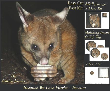 Because We Love Furries - Cute Possum + Insert & Tag+