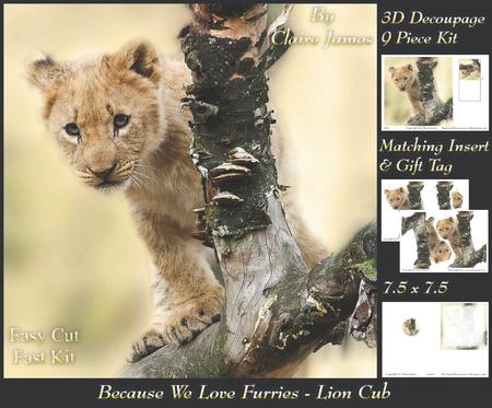 Because We Love Furries - Curious Lion Cub + Insert & Tag
