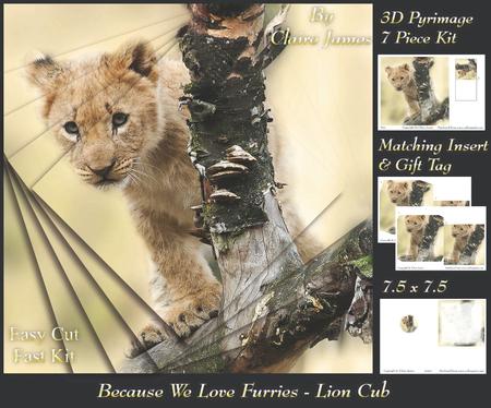 Because We Love Furries - Curious Lion Cub + Insert & Tag