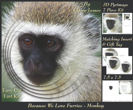 Because We Love Furries - Cute Little Monkey + Insert & Tag