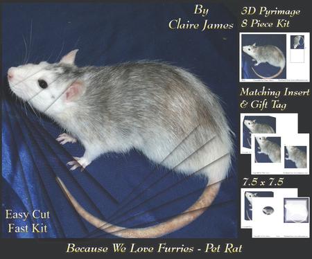 Because We Love Furries - Beautiful Pet Rat + Insert & Tag