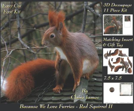 Because We Love Furries - Gorgeous Red Squirrel 2 Insert+tag
