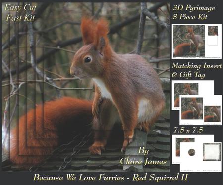 Because We Love Furries - Gorgeous Red Squirrel 2 Insert+tag