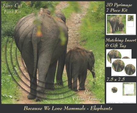 Because We Love Mammals - Elephants Mother & Child + Tag +