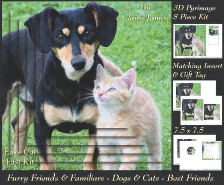 Furry Friends & Familiars - Cats & Dogs - Best Friends +tag+