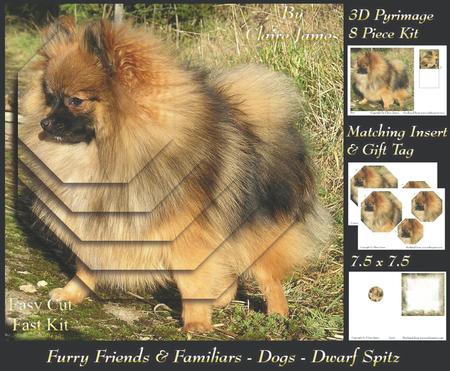 Furry Friends & Familiars - Dog - Dwarf Spritz +insert & Tag