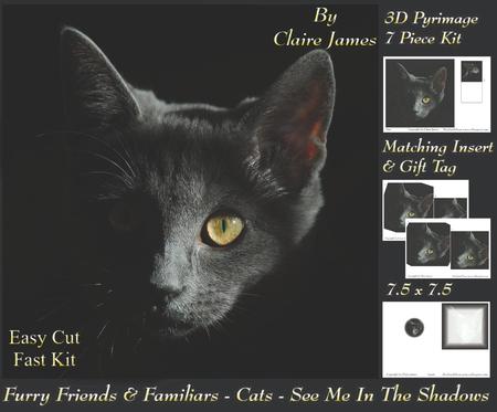 Furry Friends & Familiars - Cats - See Me in Shadows +tag+