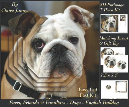 Furry Friends & Familiars - Dog - English Bulldog +tag+